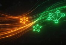 AI视频分析实时流处理性能优化-Raccoon