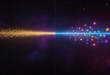 AI在个性化方案生成中的最佳实践-Raccoon