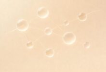 如何通过AI实现智能化的知识库推荐系统？-Raccoon