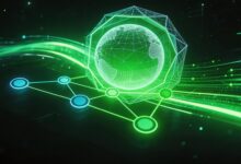 大模型重点提取的准确率提升方法-Raccoon