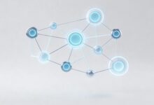 AI制定周计划和日计划的区别是什么？-Raccoon