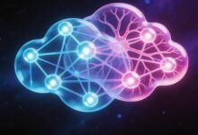 个性化计划生成器真的有用吗？-Raccoon