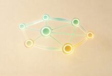 知识管理中的个性化写作技巧分享-Raccoon