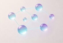 商务数据与分析专业的就业前景和薪资水平-Raccoon