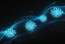 商务数据与分析论文选题方向有哪些？热门研究方向推荐-Raccoon