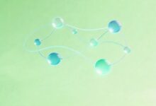 个性化方案的案例分析与实战技巧有哪些？-Raccoon