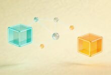 个性化分析工具哪个最值得使用？-Raccoon