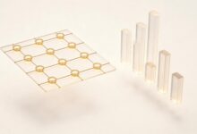 个性化数据分析的关键步骤是什么？-Raccoon