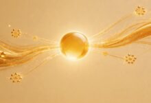 大模型数据分析Prompt技巧-Raccoon