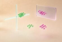 知识管理系统的核心功能与选型建议-Raccoon