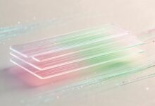 私密知识库访问权限怎么设置最合理？-Raccoon