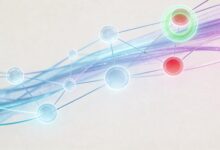 研究生课题用AI辅助解题可行吗？-Raccoon