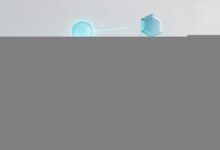 AI知识库管理平台哪家强？-Raccoon