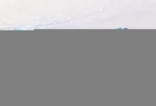 网络数据分析怎么监控竞争对手？-Raccoon