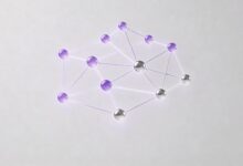 整合文件时如何保证数据一致性和完整性？-Raccoon