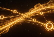 AI结论的可解释性如何保障？-Raccoon