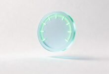 智能分析在小微企业中的低成本落地方案-Raccoon