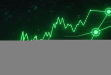 AI定计划的智能推荐功能：AI根据历史数据推荐计划模板-Raccoon