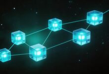 大模型要素提取在法律文书中的应用-Raccoon