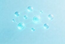 个性化分析如何提升营销效果？数据驱动实战案例-Raccoon