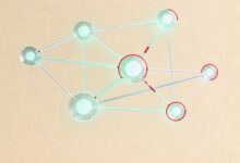 哪款办公工具适合初创企业？-Raccoon