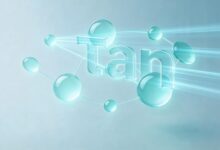 知识搜索在企业内部搜索中的应用方法？-Raccoon