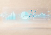 智能分析系统搭建需要多长时间？-Raccoon