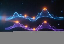 企业数智化与绿色低碳的关系-Raccoon