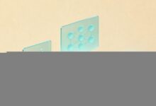 知识管理平台的功能对比与选择建议-Raccoon