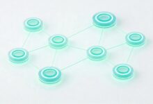 AI知识库让培训资料随时可查-Raccoon