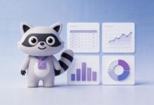 自动数据分析让临时需求快速响应-Raccoon