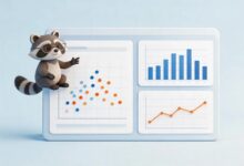 零散思路如何变成可交付方案-Raccoon